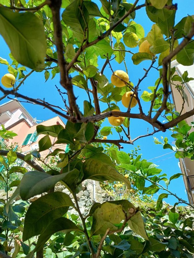 Apartamento Lemons House Monterosso al Mare Exterior foto